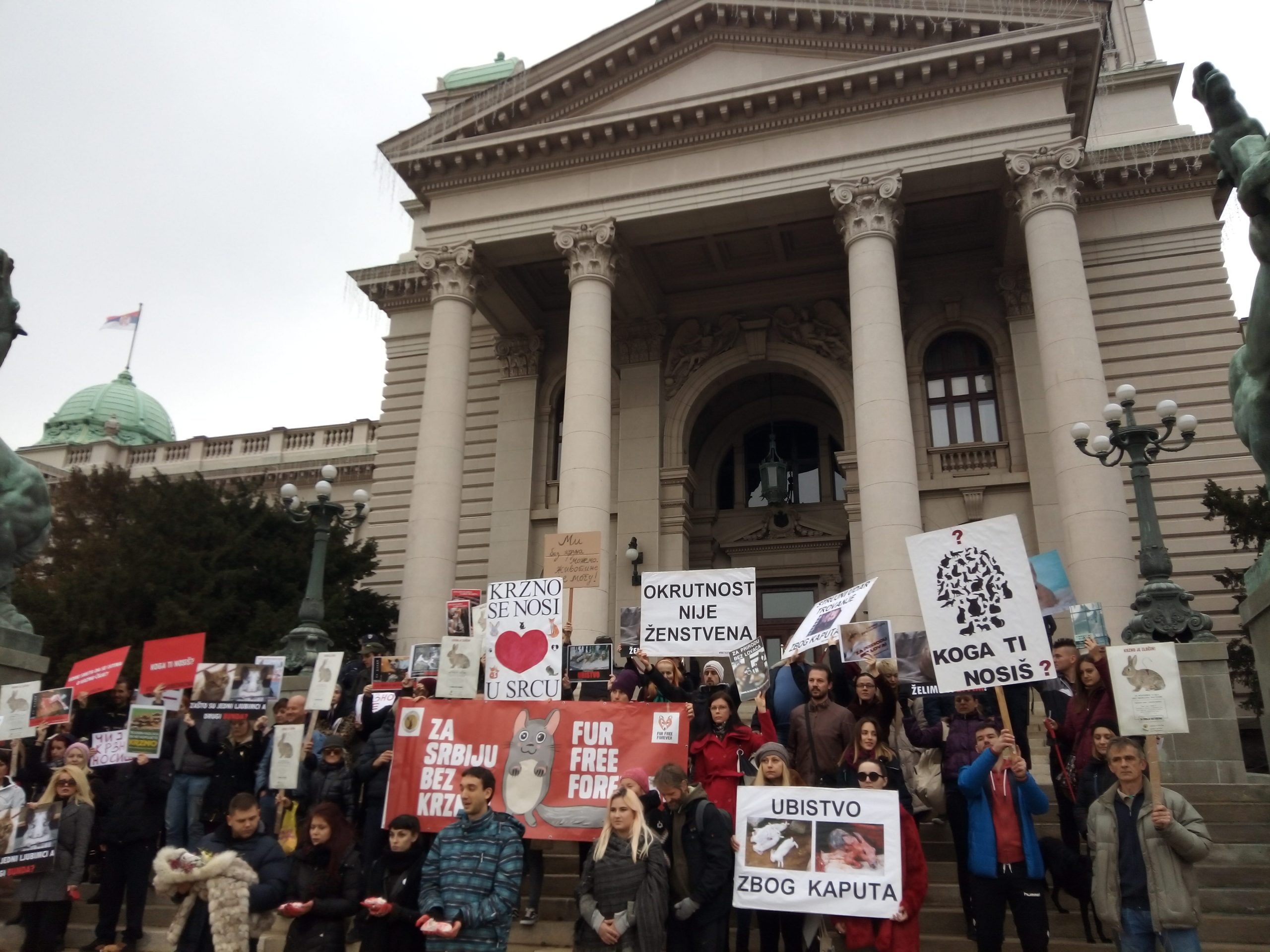 Udruženje “Sloboda za životinje”: Podrška vlasti u primeni zakona (FOTO) 1