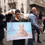 Udruženje “Sloboda za životinje”: Podrška vlasti u primeni zakona (FOTO) 2