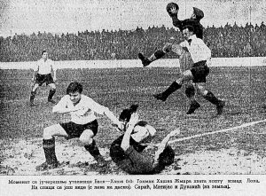 Pronađena nova vrsta životinje u Bosni 3 Pronađena nova vrsta životinje u Bosni 3