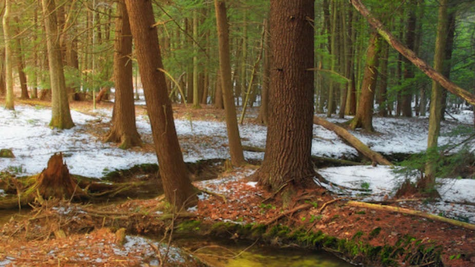 Zima u doba globalnog zagrevanja 1