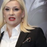 Mihajlović: U Srbiji ne odlučuju političari koja su mišljenja dozvoljena 6