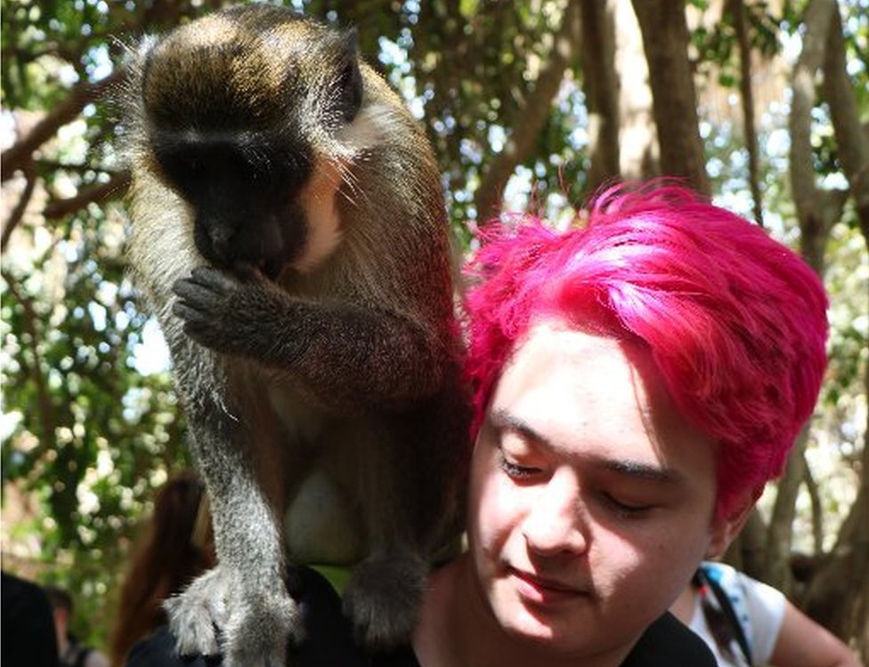 Kako je provesti božićne praznike u igri Vorkraft 2 Kiran Hart