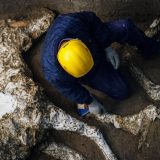 U Pompeji iskopani ostaci konja još uvek sa uzdama 5