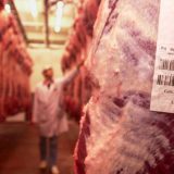Cena junećeg mesa skočila od početka godine 30 odsto 1