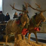 "Zimske čarolije" u Somboru 14