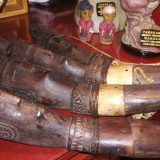 Beograd: Zbirka iz Indonezije 14