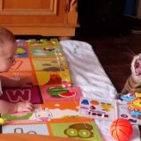 Mačke i bebe: Beba je stigla, ŠTA SAD? 15