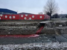 Crvena Despotovica u Gornjem Milanovcu 3