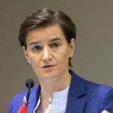Brnabić: Za povratnike iz dijaspore smanjenje poreza za imovinu i brža nostrifikacija diploma 14