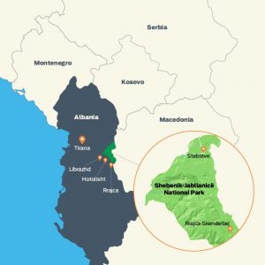 Bande s motornim testerama: Pljačka drevnih albanskih šuma 2