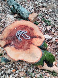 Bande s motornim testerama: Pljačka drevnih albanskih šuma 3