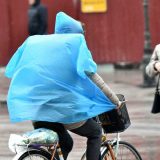 Novi Sad protiv nasilja i droge u školama po uzoru na Island 1