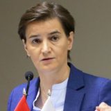 Brnabić: U pripremi sistem socijalnih karata, ubuduće bolja socijalna zaštita 13