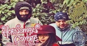 Muzički vodič od 28. decembra do 4. januara 8