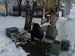 U Batajnici pokrenuta „Akcija za napuštene pse“ (FOTO) 2