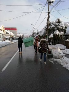 U Batajnici pokrenuta „Akcija za napuštene pse“ (FOTO) 5