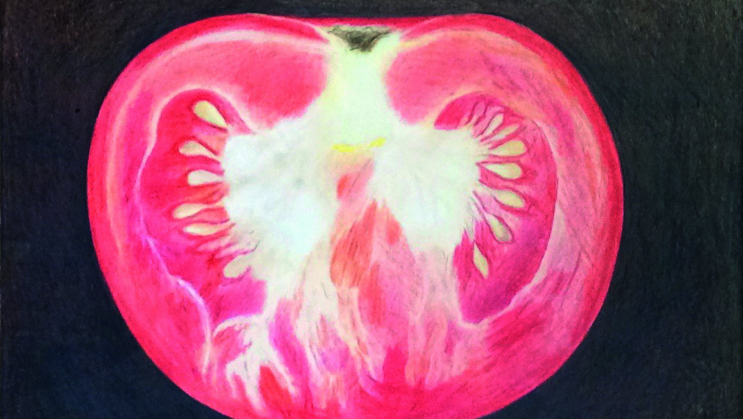 Otvaranje izložbe "Izloženost" Milke Hrvanović 16. decembra 1 Otvaranje izložbe "Izloženost" Milke Hrvanović 16. decembra 1