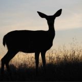 Izlazak iz tame (1. deo) 2