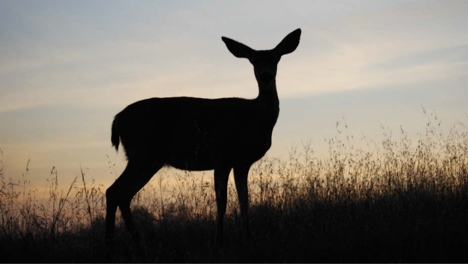 Izlazak iz tame (1. deo) 1