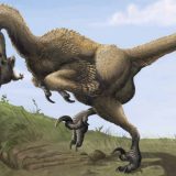 Izlazak iz tame (2. deo) 1