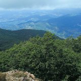 Bande s motornim testerama: Pljačka drevnih albanskih šuma 8