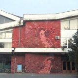 Promocija publikacije „Muma Paduri - Šumska Majka“ 11