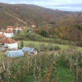 Od države i lokalne vlasti traže zabranu gradnje 12