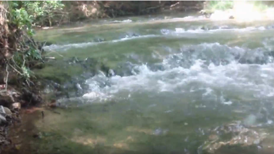 Paraćin: Počelo potpisivanje peticije "Ne damo Grzu" 1