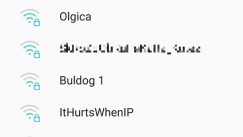 Nazivi Wi-Fi mreža u Srbiji Šta nazivi Wi-Fi mreža govore o srpskim domaćinima? 11