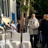 Pacijent na vlasti 12