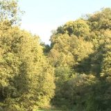 U carstvu poskoka: Bezdanicu pohode lovci na blago i ljubitelji sremuša (VIDEO) 9