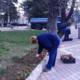 Glas Zaječara: Za cveće više od tri miliona dinara 6