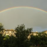 Kazahstan: Krupne i sočne jabuke 2