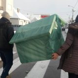 U Batajnici pokrenuta „Akcija za napuštene pse“ (FOTO) 4