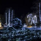 Manifestacija Ledena šuma otvorena u Novom Sadu 5