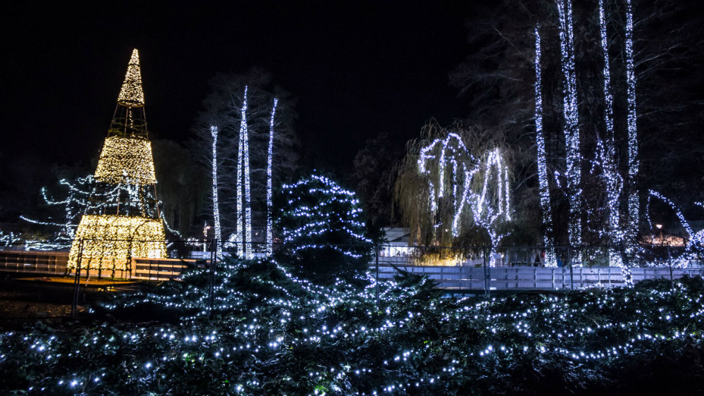 Manifestacija Ledena šuma otvorena u Novom Sadu 1