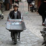 Natalitet kao nacionalna kriza 4