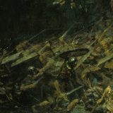 Posle kineske umetnosti stiže rimski barok 3