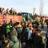 Lov na banatsku lisicu 3