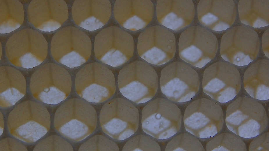 Prezimljavanje (2. deo) 1