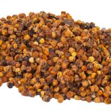 Fermentisani polen iz košnice 10