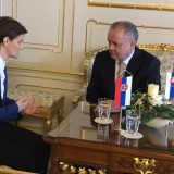 Brnabić: Slovačka važan partner na našem evropskom putu 9