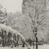 U Lučanima proglašena vanredna situacija zbog snega 3