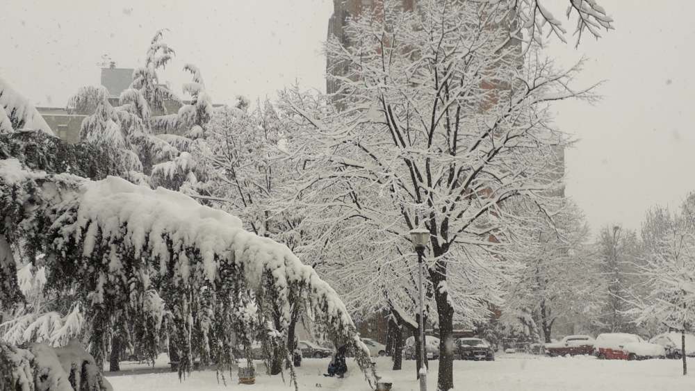 Sa gotovo pola metra snega Zrenjanin rekorder u Srbiji 1