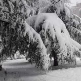 U osam seoskih škola u Gornjem Milanovcu danas bez nastave zbog zavejanih puteva 6