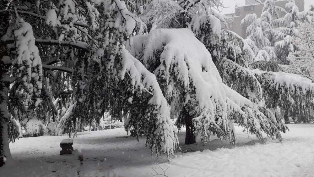 U Srbiji sutra oblačno i hladno sa slabim snegom, temperatura od minus tri do dva stepena 1