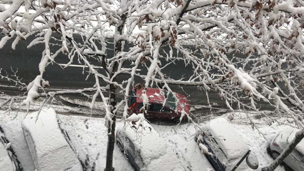 U Srbiji u petak hladno i oblačno, uz slab sneg 1
