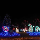 Zaječar: Za dekorativnu rasvetu skoro 3,5 miliona dinara 7