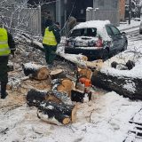 Zelenilo uklonilo polomljene grane i stabla na 103 lokacije 14