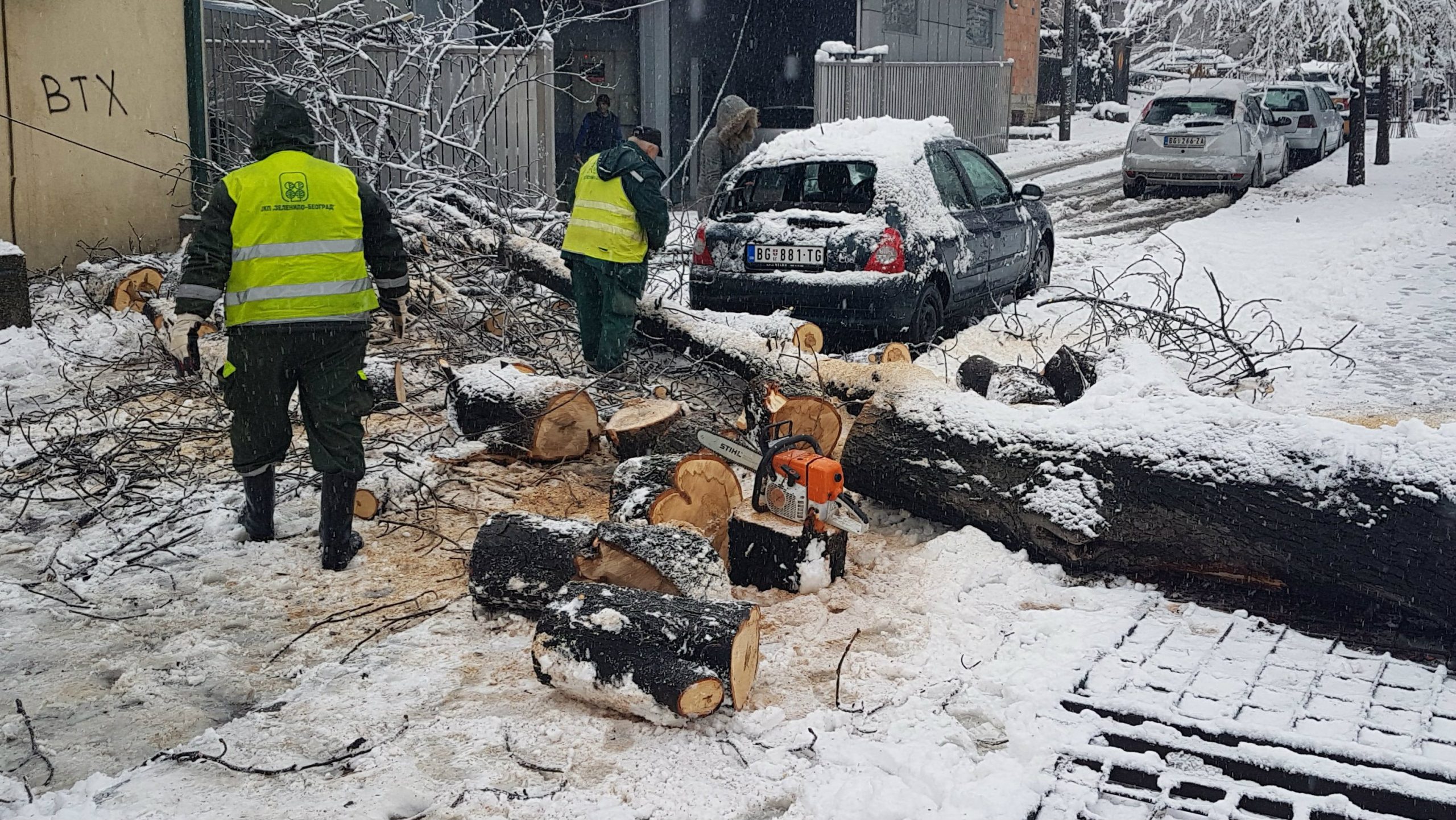 Zelenilo uklonilo polomljene grane i stabla na 103 lokacije 1
